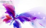 Adobe Creativity Suite...Create Ever Lasting Moments