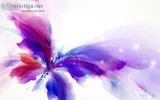 Adobe Creativity Suite...Create Ever Lasting Moments