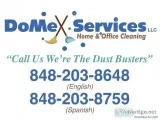 DOMEX SERVICES LLC