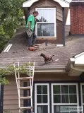 MAJESTIC BUILDERS and HANDYMAN services..704-674-66 42....