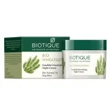Buy Biotique Ayurvedic Best Products for Dry Skin Online in Indi