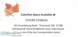 Space Available during Colorfest