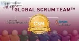 Scrum Master &ndash CSM  Professional Trainers  Aleph Technologi