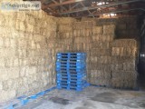 Straw bales