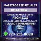 Botanicas en la 26 Chicago