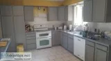 Cabinet Painting
