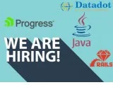 TECHNICAL LEAD FULL STACK DEVELOPER