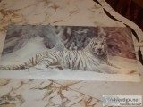 White tiger plastic paint 3D