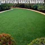 Fake grass in Baldivis by Looks like Grass