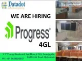 FULL STACK DEVELOPER - PROGRESS 4GL