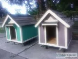 new dog houses