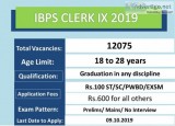 IBPS Clerk IX Notification 2019 -20  CRP-Clerical Cadre (12075 V