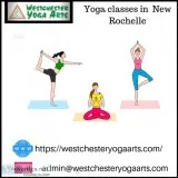 Zoin Best Yoga Classes in  New Rochelle