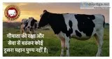 umeshraj go seva sanasthan