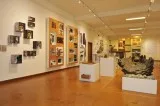 Profitable Art Gallery for sale