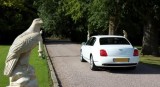 Oxford Limo Hire in White Black and Pink Color