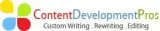 Business Plan Writing Services  Custom Business Plan Writers &nd