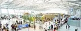 Hiring Is Going On In Air Ticketing Executive