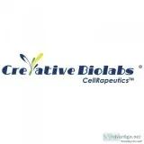 Creative Biolabs