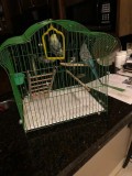 Blue and Green Parakeets (included cage)