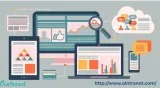 Company Intranet Software