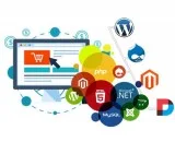 Custom Software Development Company Pune