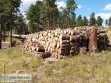 Firewood