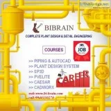 Piping Drafting Training Institute In Chennai BiBrain