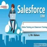 Sales Force online Training