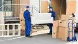 Call us 9515646001 for house and offices shifting