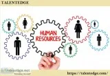 Human Resources Professional Certification