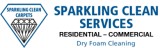 Sparkling Clean Carpets