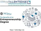 Masters in Entrepreneurship Online