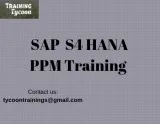 SAP S4 HANA PPM Training  SAP PPM Online Training - TT