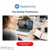 Frontend Programmer Back End Programmer