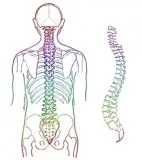Best Spine Surgeon in Chennai