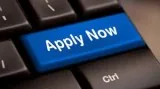 Online Marketing promtion work in tourism company.