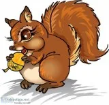The Cleaning Nuts