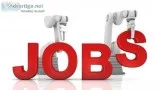 Online home Income Opportunity In Tourism Company.