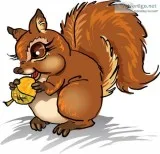 The Cleaning Nuts