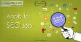 SEO Executive Jobs in Khanpur Delhi