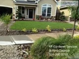 Yard Maintenance and Clean-up and Hauling Services