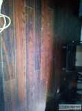 Roommate wanted