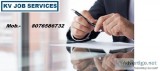 IT Consultancy in Noida