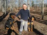 pet search for status
