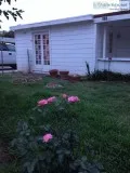 house for rent pasadena