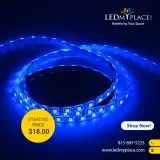 Enhance indoor Lighting 12V LED Strip Lights