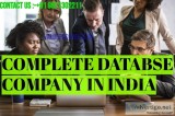 Top best Company database in India