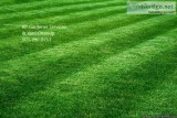 KP Garden Services and Yard Clean-Up 503-290-8753