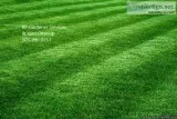 KP Garden Services and Yard Clean-Up 503-290-8753